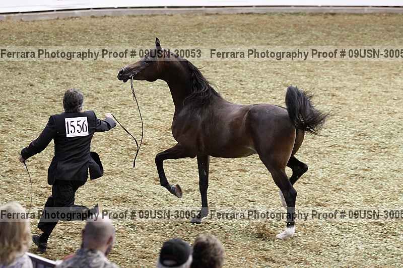 Proof 09usn-30053