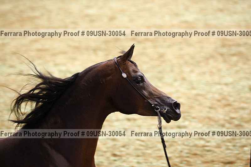 Proof 09usn-30054