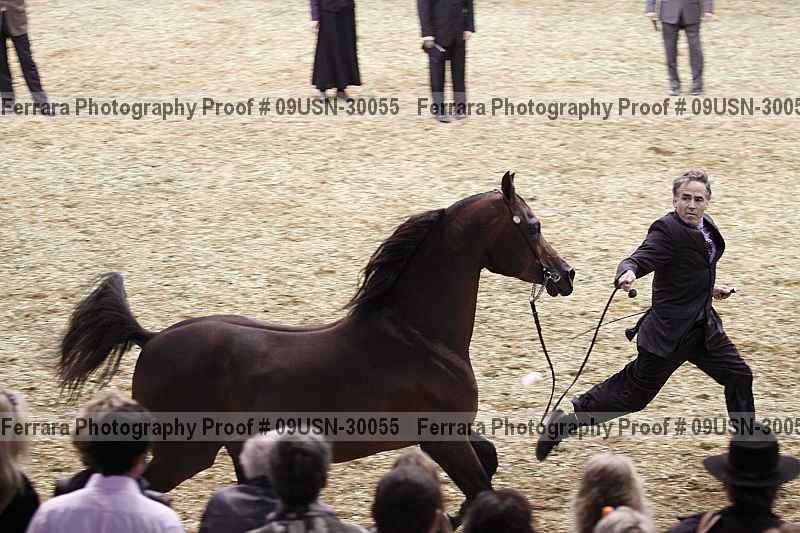 Proof 09usn-30055