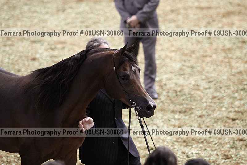 Proof 09usn-30066
