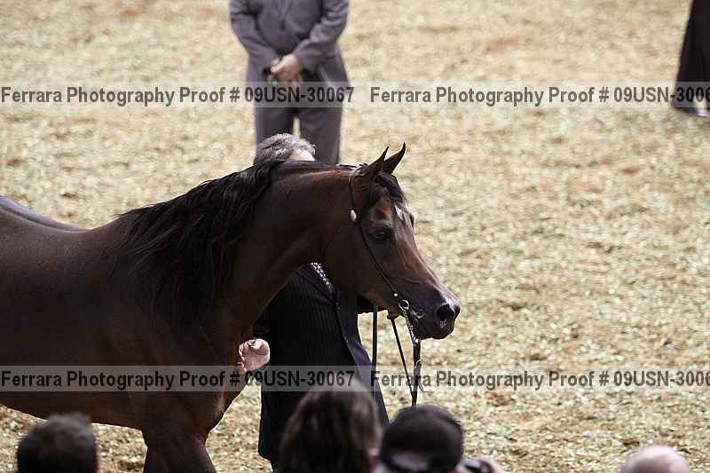 Proof 09usn-30067