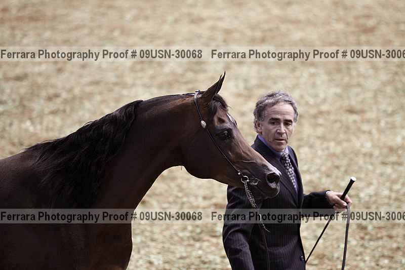 Proof 09usn-30068