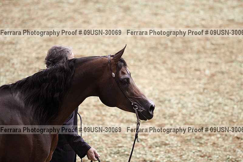 Proof 09usn-30069