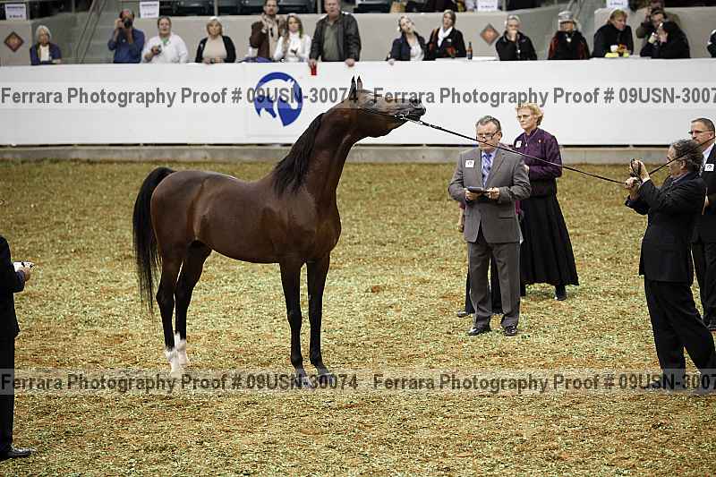 Proof 09usn-30074