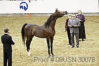 09usn-30076 proof