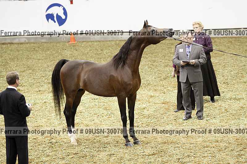 Proof 09usn-30079