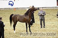 09usn-30084 proof