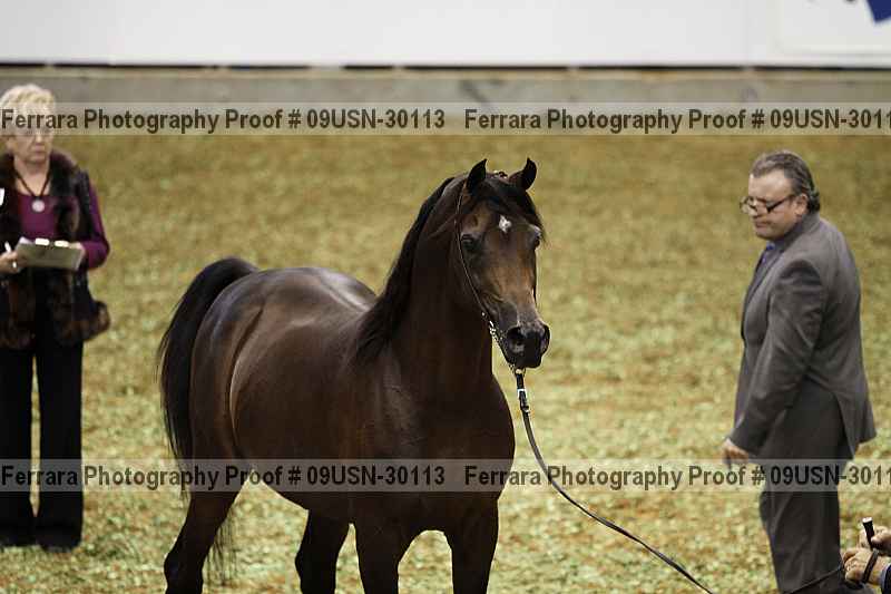 Proof 09usn-30113