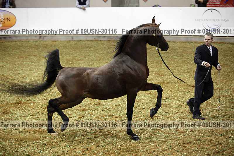 Proof 09usn-30116