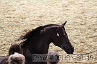 09usn-30119 proof