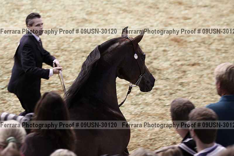 Proof 09usn-30120