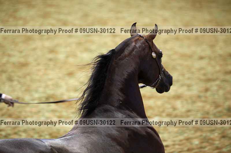 Proof 09usn-30122