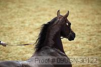 09usn-30122 proof