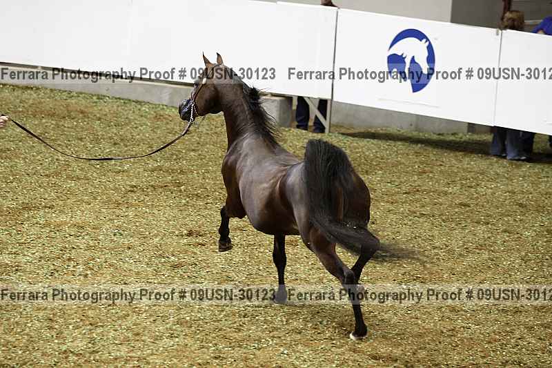Proof 09usn-30123