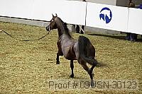 09usn-30123 proof