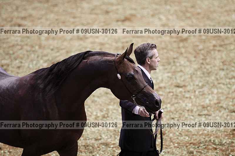 Proof 09usn-30126