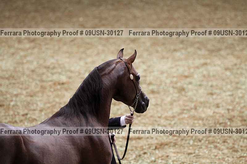 Proof 09usn-30127