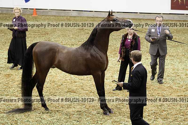 Proof 09usn-30129
