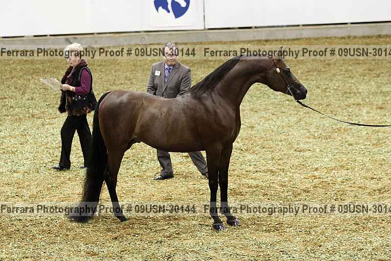 Proof 09usn-30144