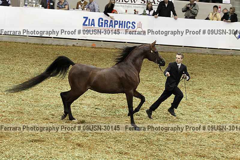 Proof 09usn-30145