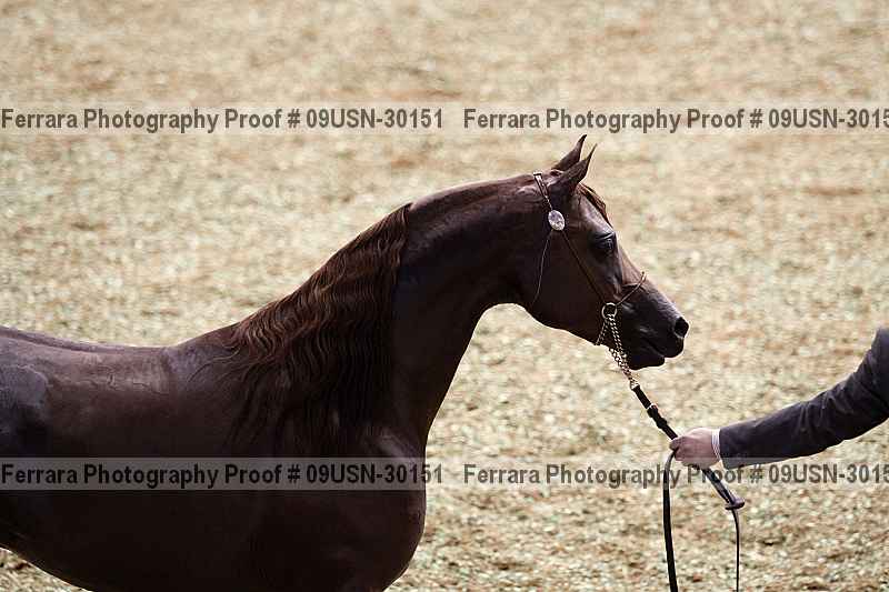 Proof 09usn-30151