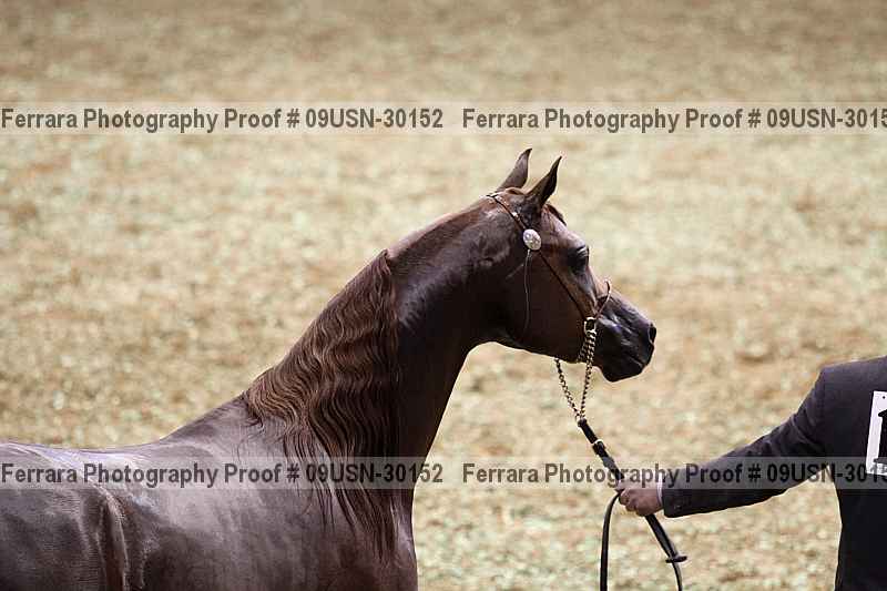 Proof 09usn-30152