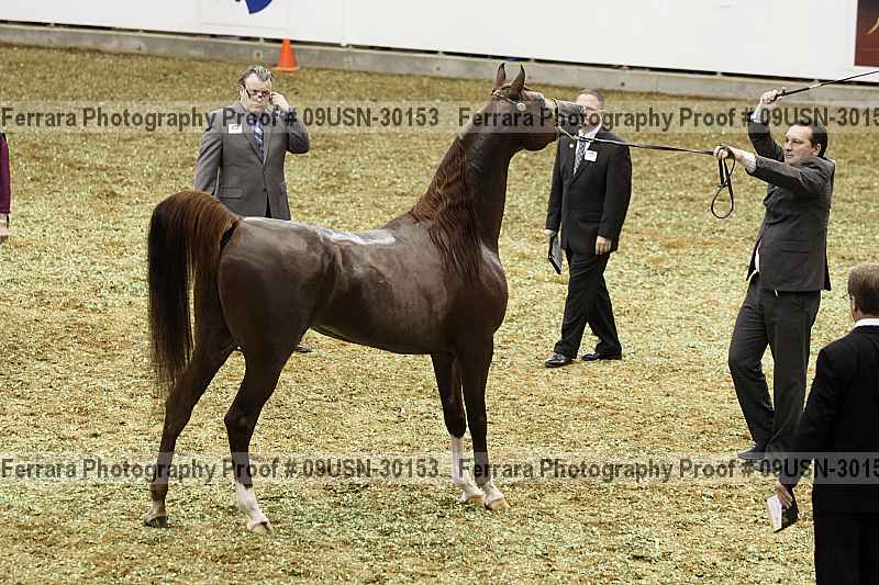 Proof 09usn-30153