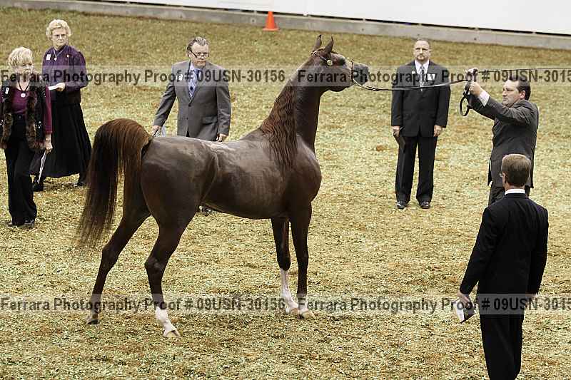 Proof 09usn-30156
