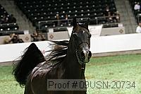 09usn-20734 proof