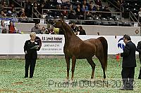 09usn-20752 proof