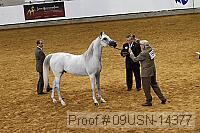 09usn-14377 proof