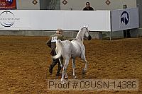 09usn-14386 proof