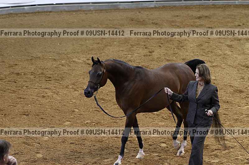 Proof 09usn-14412