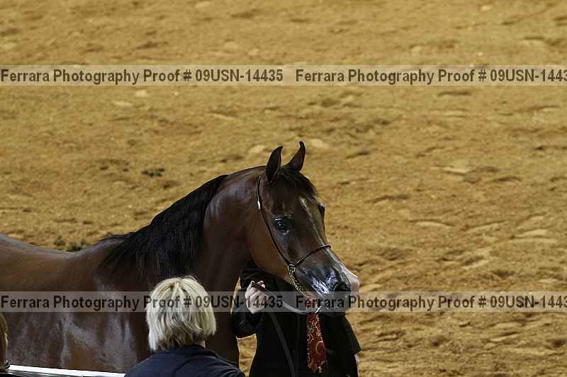 Proof 09usn-14435