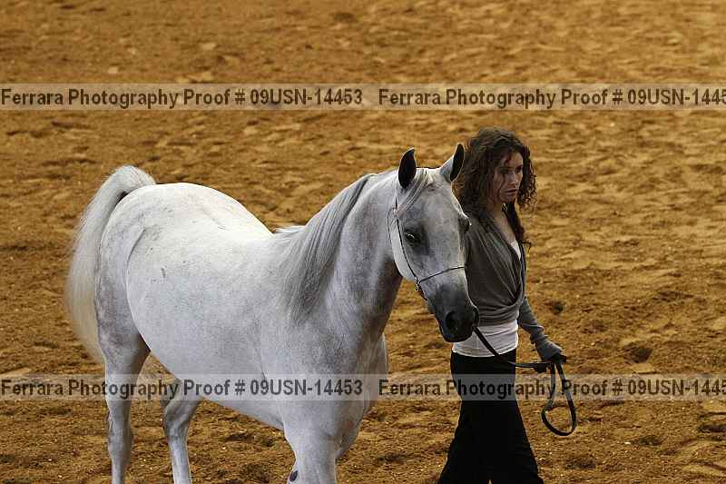 Proof 09usn-14453
