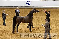 09usn-14464 proof