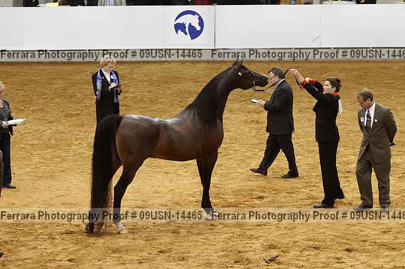 Proof 09usn-14465