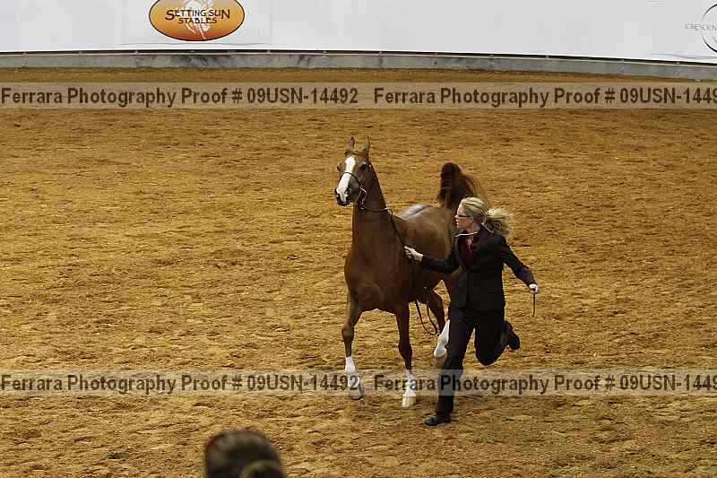 Proof 09usn-14492