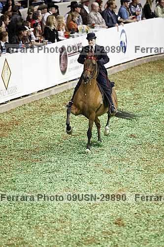 Proof 09usn-29890