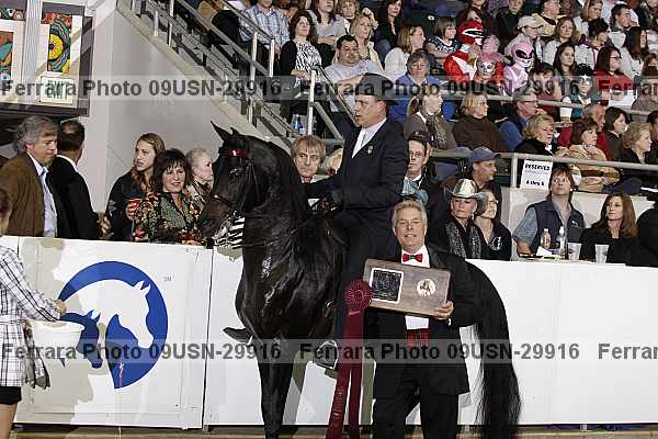 Proof 09usn-29916