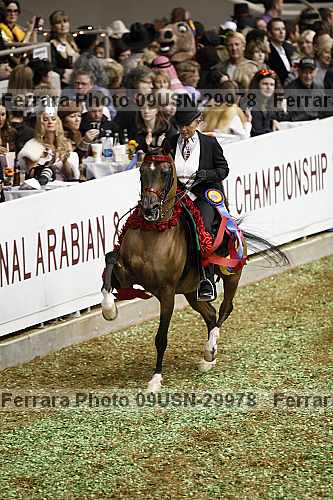 Proof 09usn-29978