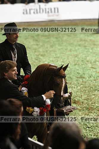 Proof 09usn-32125