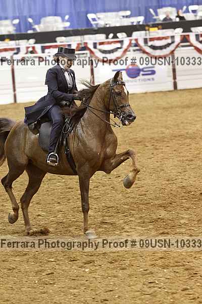Proof 09usn-10333