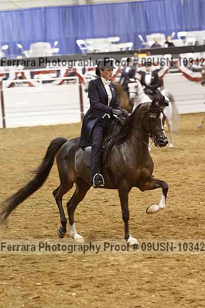 Proof 09usn-10342