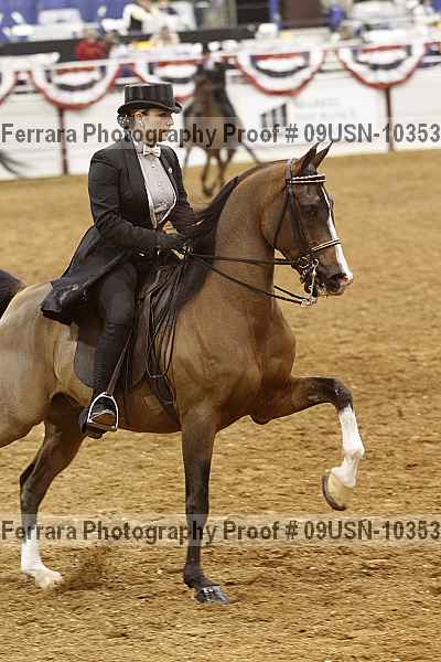 Proof 09usn-10353