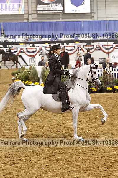 Proof 09usn-10356