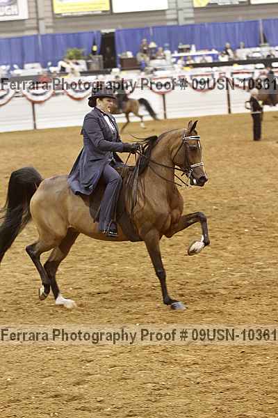Proof 09usn-10361