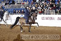 09usn-10399 proof