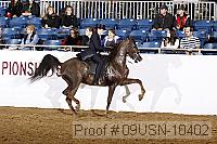 09usn-10402 proof