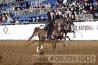 09usn-10421 proof